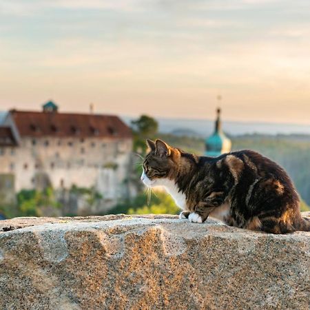 Hotel Zur Aussicht Hohnstein Eksteriør bilde